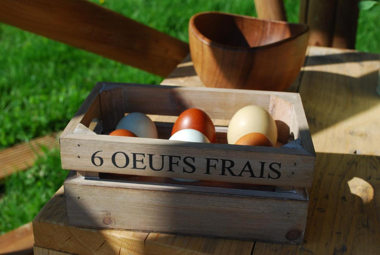 Swallows Oast Glamping Sedlescombe Екстериор снимка