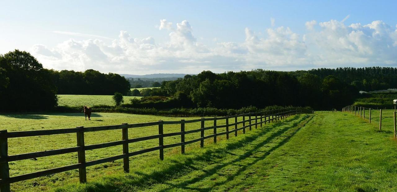 Swallows Oast Glamping Sedlescombe Екстериор снимка